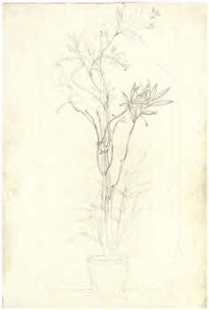 Visualizza l'immagine "FD D 313"